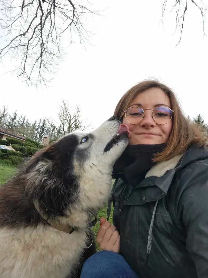 toilettage-chien-dordogne.jpg salon-toilettage-24.jpg